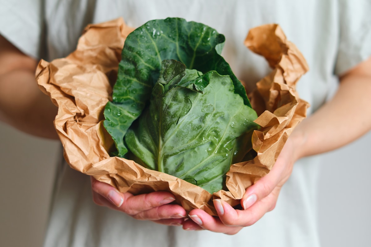 Equilibrio alimenticio para toda la familia